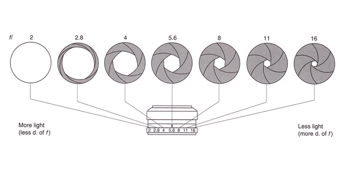 Диафрагма схема. Диафрагма объектива схема. Число диафрагмы фотоаппарата. Ступени диафрагмы объектива. Относительное отверстие объектива.